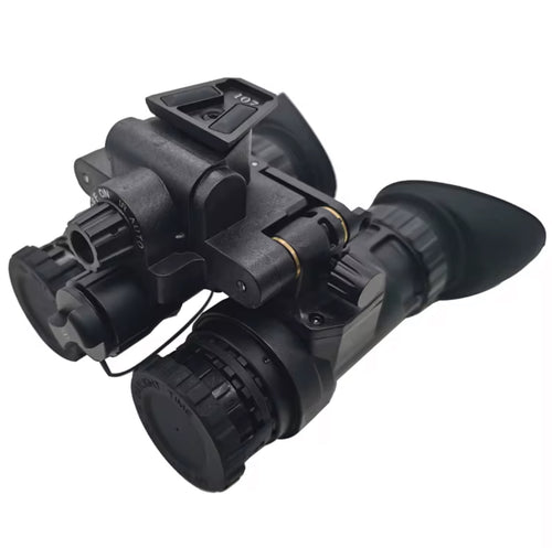 Pvs-31