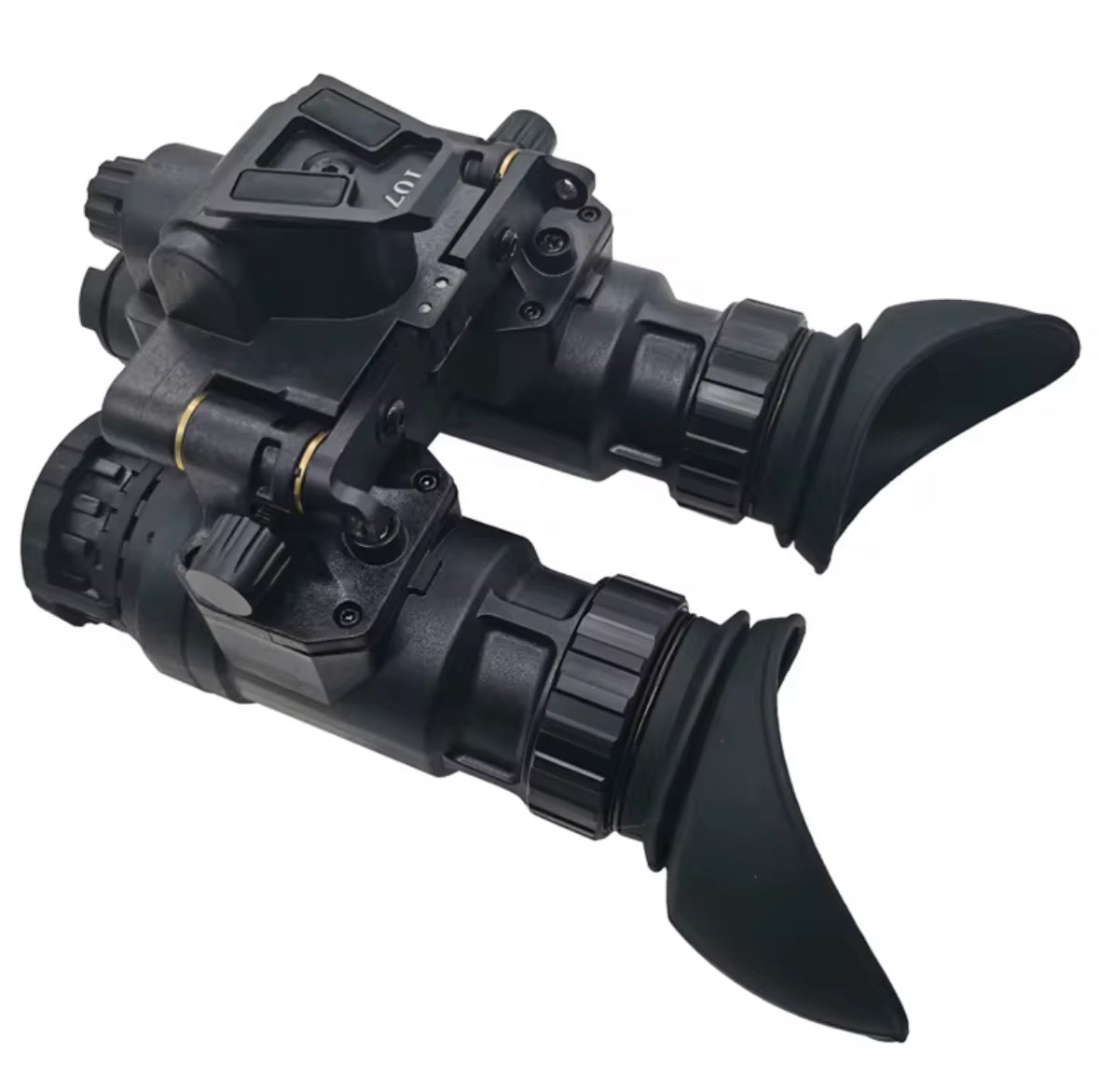 Pvs-31