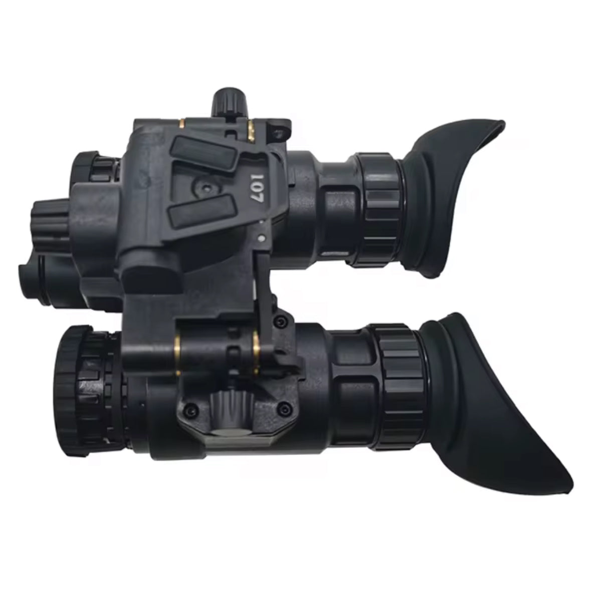 Pvs-31